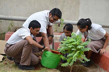 Vanamahotsav