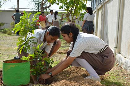 Vanamahotsav