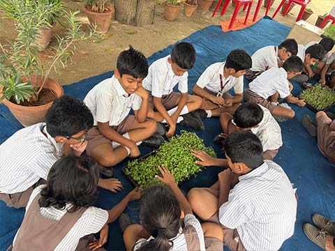 Vanamahotsav 2025