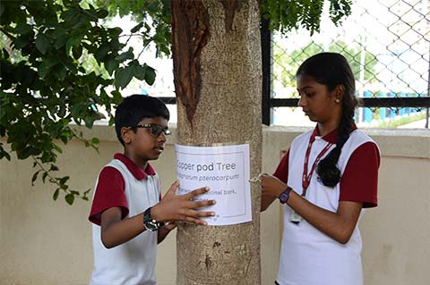 Vanamahotsav 2025