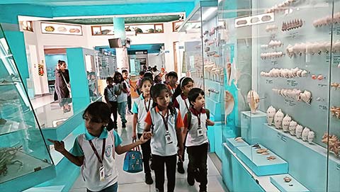 Grade 2 - Visit to the India Seashell Museum