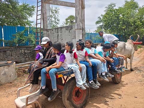 Grade 4 - Field Trip to DakshinaChitra 2025