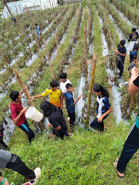 Grade 8- Field Trip to Jawadhu Hills