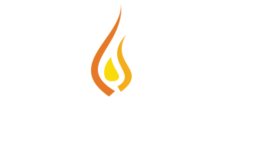 NPS International logo